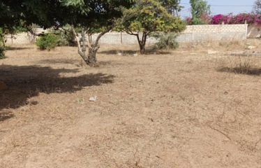 Nguérigne – Terrain de 1 394 m2 à vendre.BT510.