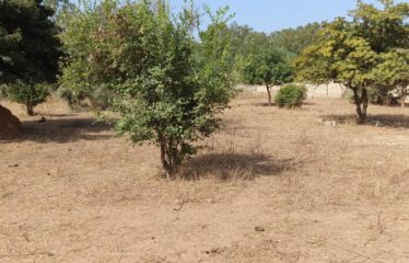 Nguérigne – Terrain de 1 394 m2 à vendre.BT510.
