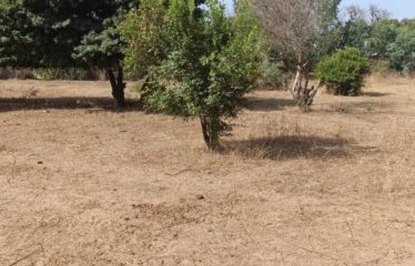 Nguérigne – Terrain de 1 394 m2 à vendre.BT510.