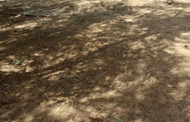 Somone – Terrain de 756 m2 bord de mer à vendre.BT313.