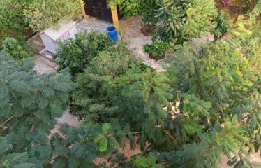 Nguérigne – Vaste villa au style andalous de 6 chambres avec piscine à vendre.BV516.