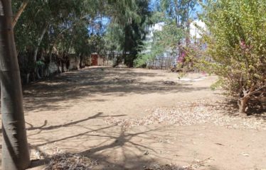 Somone – Terrain de 756 m2 bord de mer à vendre.BT313.