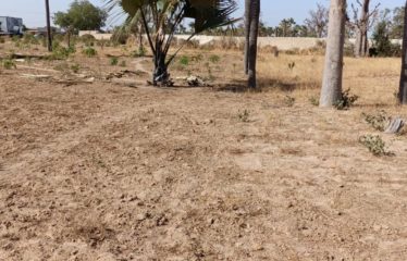 Ndiobene – Thies – Terrain de 7 361 m2 à vendre.BT314