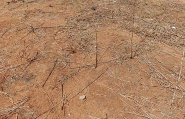 Nguérigne – Terrain de 463 m2 à vendre.BT315