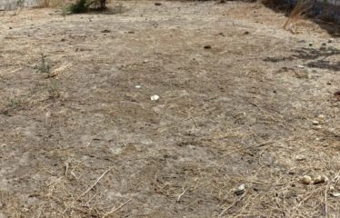 Ndiorokh/Nguérigne – Terrain de 853 m2 à vendre.BT316.