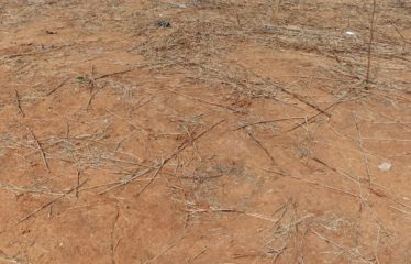 Nguérigne – Terrain de 463 m2 à vendre.BT315