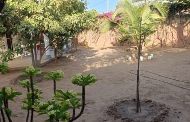 Nguérigne – Villa 2 chambres et sa mezzanine à vendre.BV523
