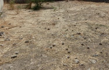 Ndiorokh/Nguérigne – Terrain de 853 m2 à vendre.BT316.