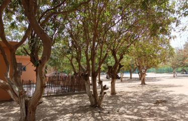 Nguekokh – Keur Gondé – Vaste propriété aménagée avec piscine à vendre.BV535
